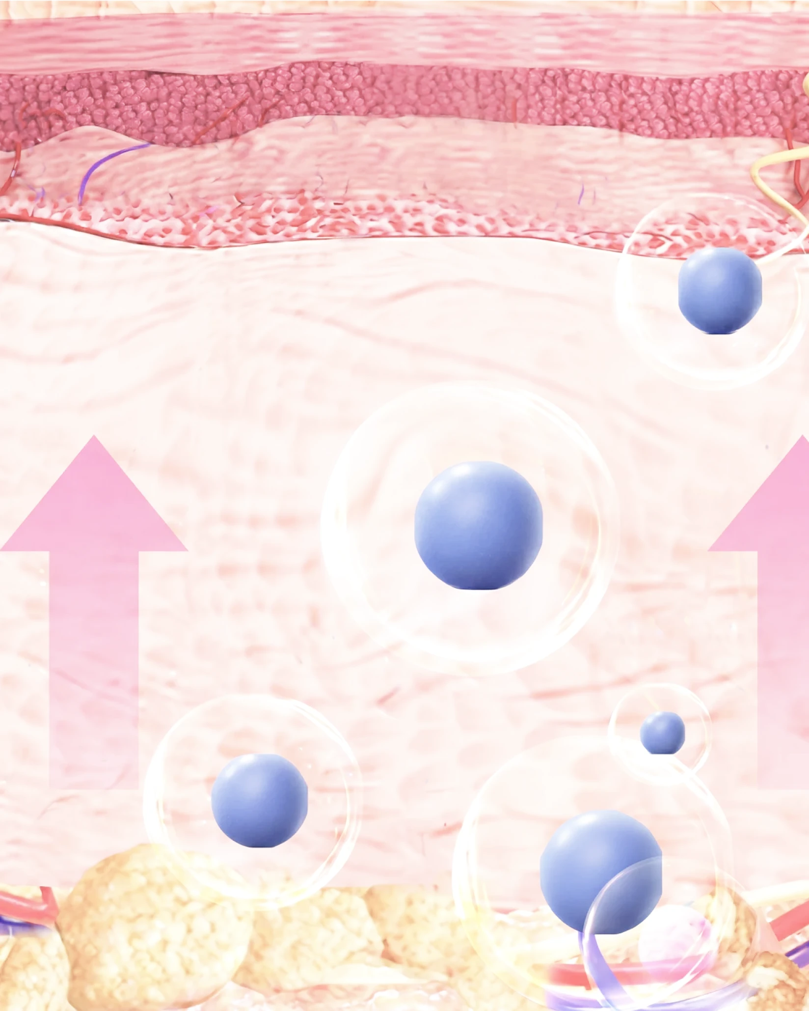 Stimulates collagen production