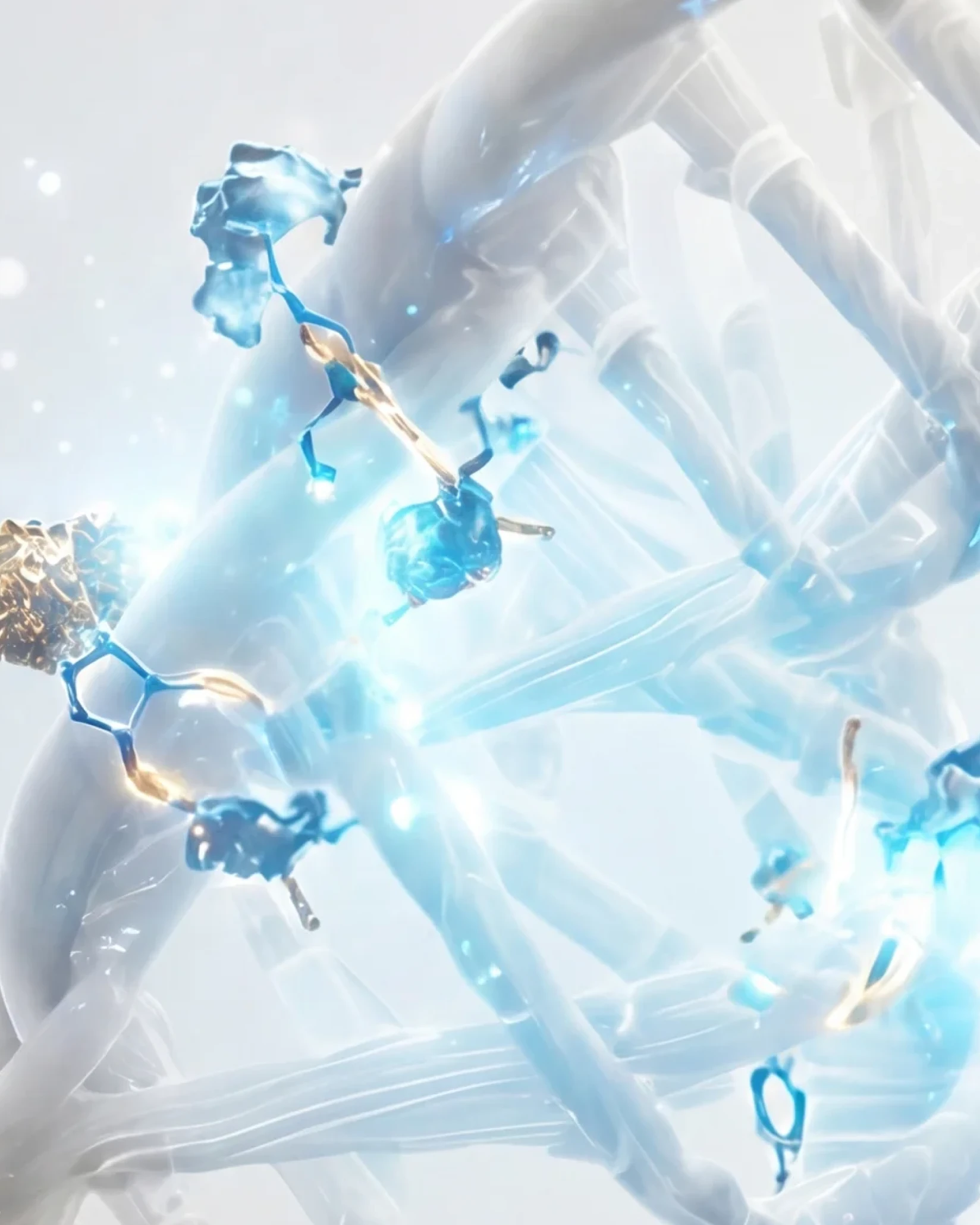 DNA Damage Repair