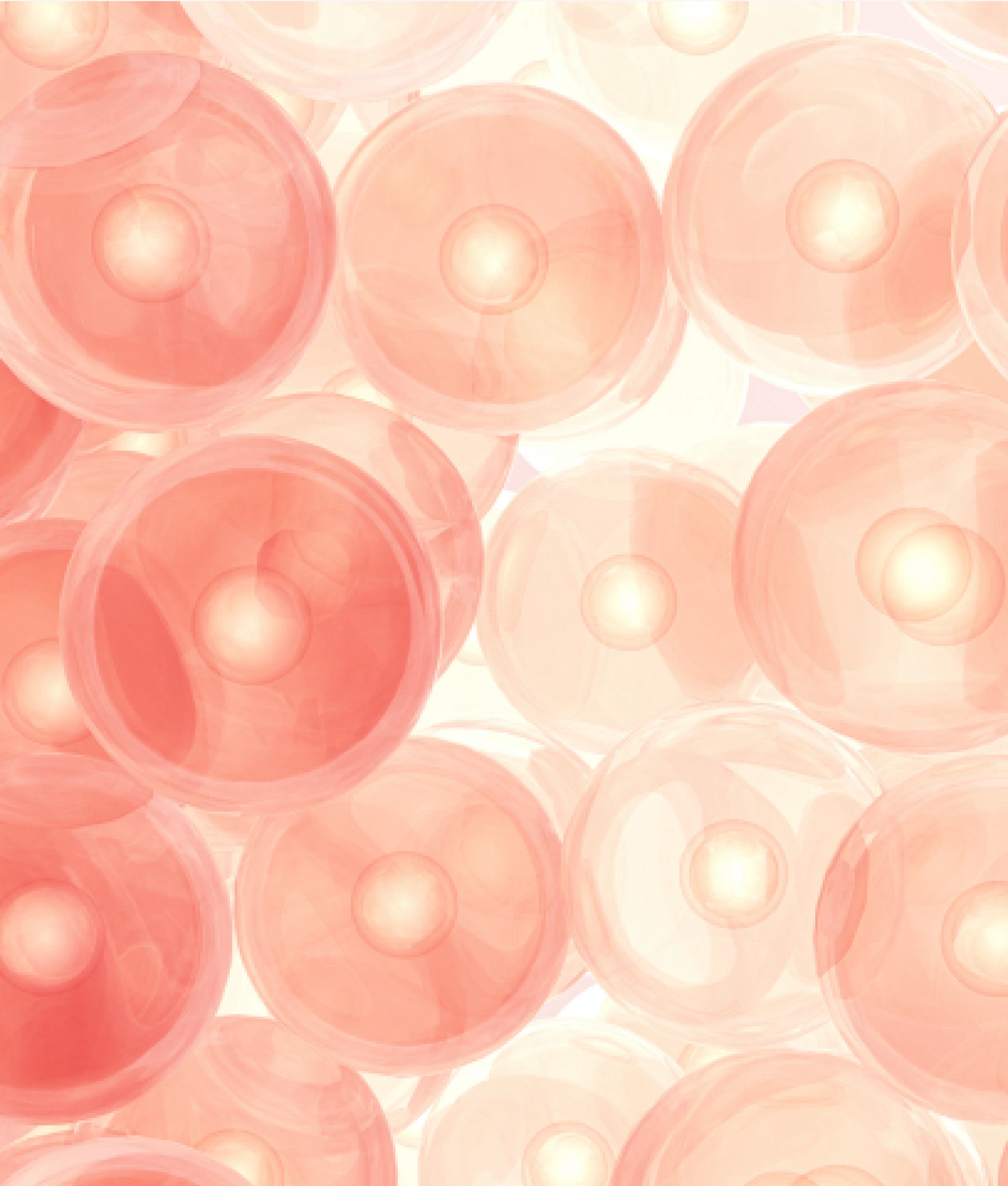 Provides essential extracellular matrix components to the dermis.