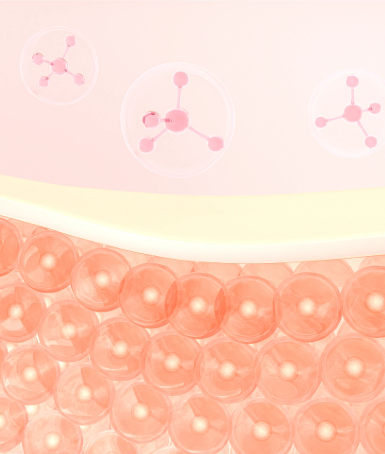 Supports fibroblast activity involved in collagen maintenance.