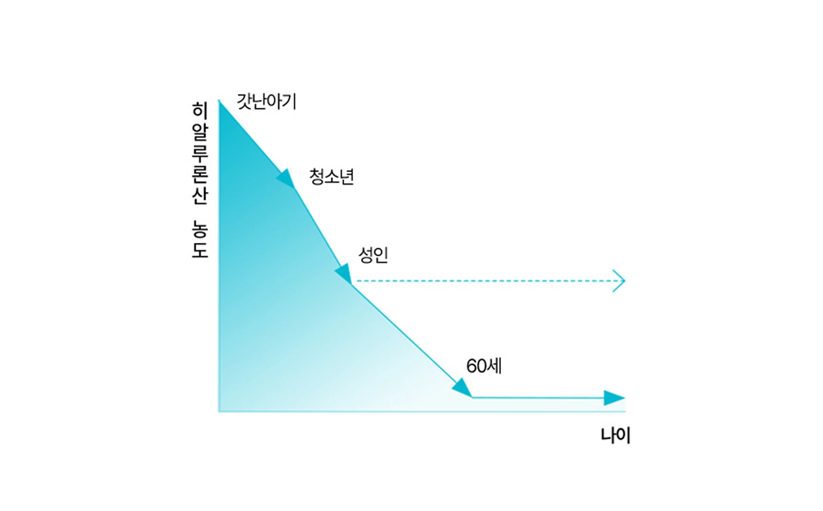 Changes in hyaluronic acid concentration with aging