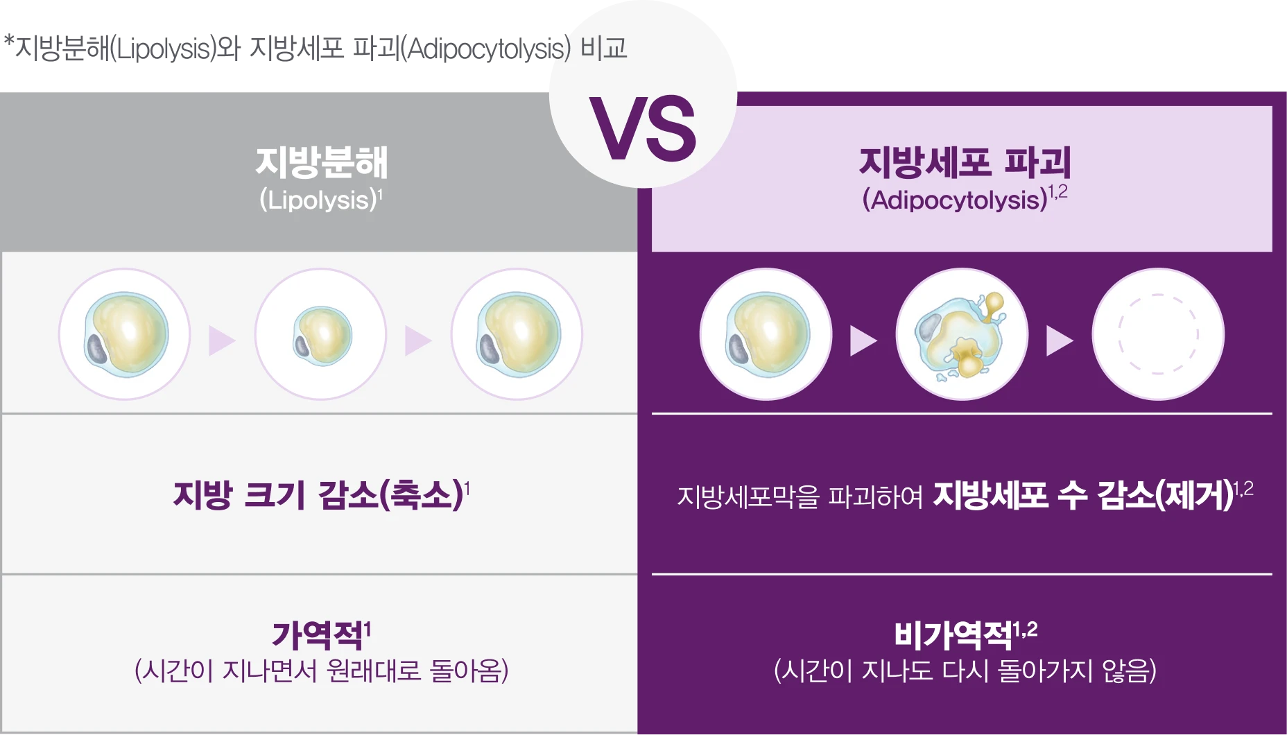 지방분해와 지방세포 파괴 비교