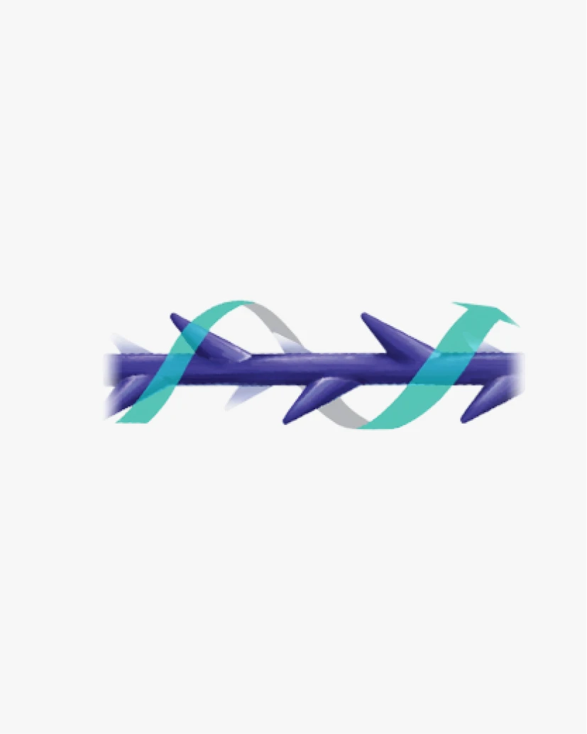 민트